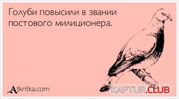1349074039_atkritka_03.jpg | Рено Каптур Клуб Россия | Форум KAPTUR.SU