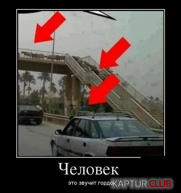 1349161961_demotivatory_27.jpg | Рено Каптур Клуб Россия | Форум KAPTUR.SU
