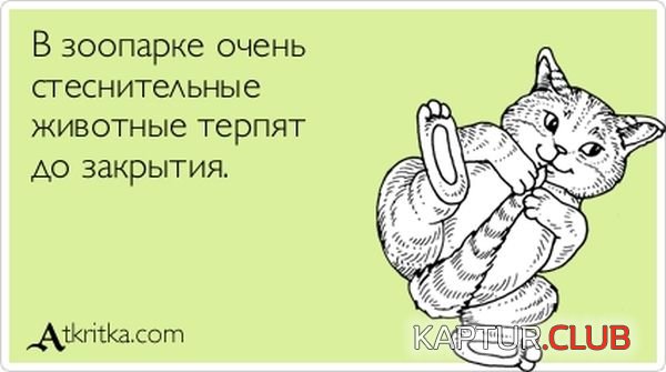 1349680301_atkritka_17.jpg | Рено Каптур Клуб Россия | Форум KAPTUR.SU
