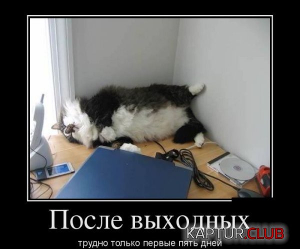 1349682605_demotivatory_03.jpg | Рено Каптур Клуб Россия | Форум KAPTUR.SU