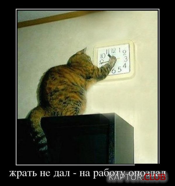 1350977464_demotivatory_23.jpg | Рено Каптур Клуб Россия | Форум KAPTUR.SU