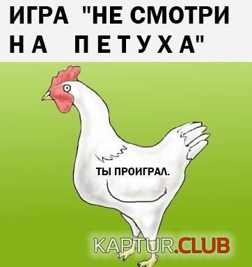 1351057982_podborka_28.jpg | Рено Каптур Клуб Россия | Форум KAPTUR.SU