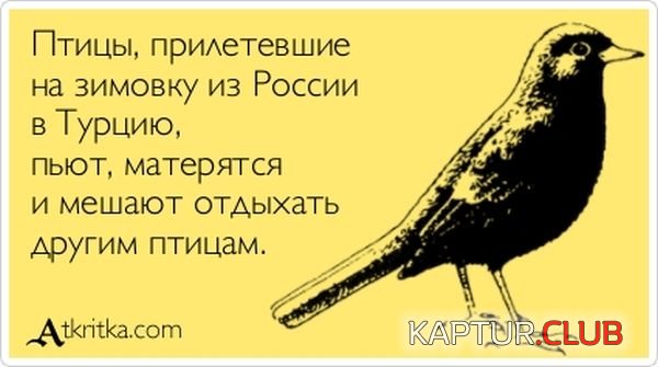1351502758_atkritka_10.jpg | Рено Каптур Клуб Россия | Форум KAPTUR.SU