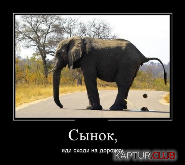 1353621087_demotivatory_06.jpg | Рено Каптур Клуб Россия | Форум KAPTUR.SU