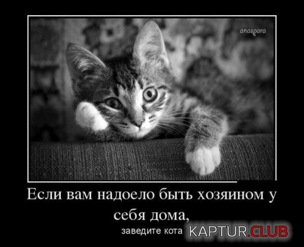 1353621186_demotivatory_17.jpg | Рено Каптур Клуб Россия | Форум KAPTUR.SU