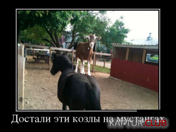 1353666408_demotivatory_12.jpg | Рено Каптур Клуб Россия | Форум KAPTUR.SU