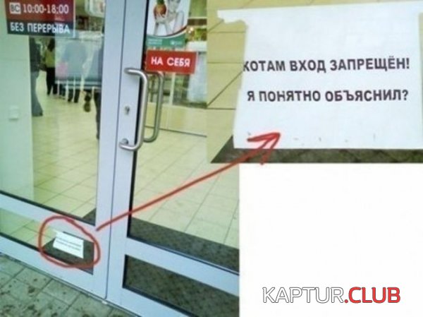 1353915422_marazm_03.jpg | Рено Каптур Клуб Россия | Форум KAPTUR.SU