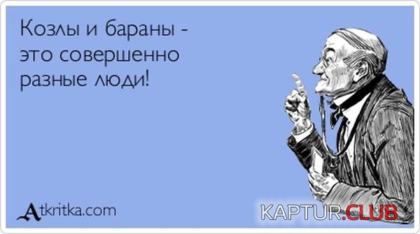 1353916064_atkritka_29.jpg | Рено Каптур Клуб Россия | Форум KAPTUR.SU
