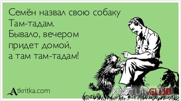 1354523002_atkritka_09.jpg | Рено Каптур Клуб Россия | Форум KAPTUR.SU