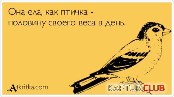 1354523022_atkritka_14.jpg | Рено Каптур Клуб Россия | Форум KAPTUR.SU