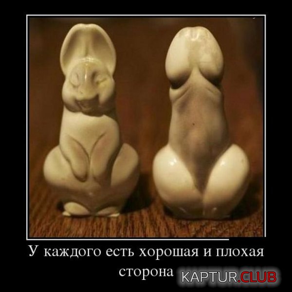 1354878846_demotivatory_16.jpg | Рено Каптур Клуб Россия | Форум KAPTUR.SU