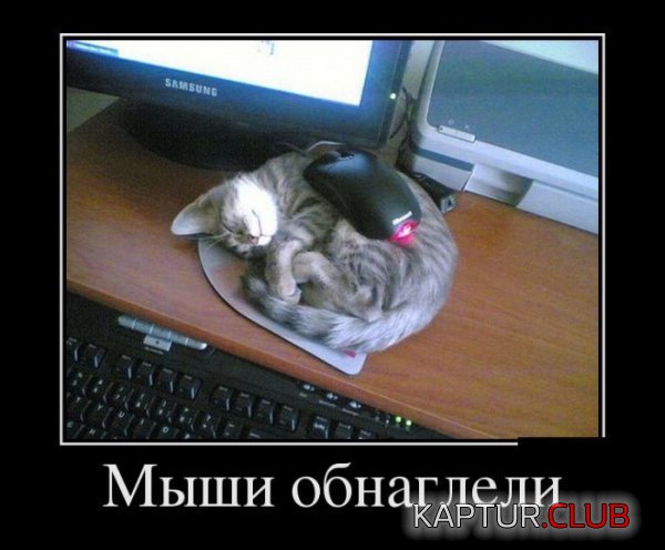 1354878868_demotivatory_28.jpg | Рено Каптур Клуб Россия | Форум KAPTUR.SU