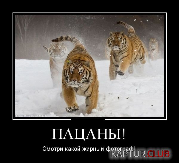 1355214960_demotivatory_01.jpg | Рено Каптур Клуб Россия | Форум KAPTUR.SU