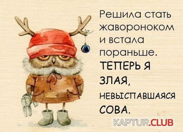 1355302741_podborka_36.jpg | Рено Каптур Клуб Россия | Форум KAPTUR.SU