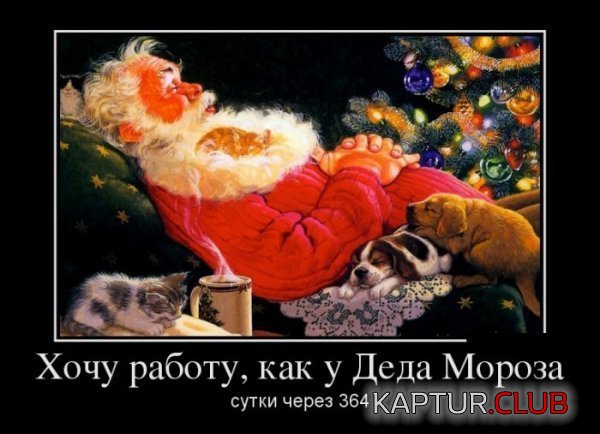 1356510861_demotivatory_27.jpg | Рено Каптур Клуб Россия | Форум KAPTUR.SU