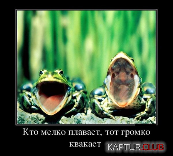 1356611798_demotivatory_02.jpg | Рено Каптур Клуб Россия | Форум KAPTUR.SU