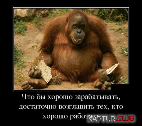 1356611842_demotivatory_14.jpg | Рено Каптур Клуб Россия | Форум KAPTUR.SU