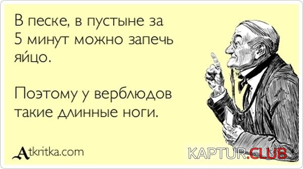 1357718089_atkritka_20.jpg | Рено Каптур Клуб Россия | Форум KAPTUR.SU