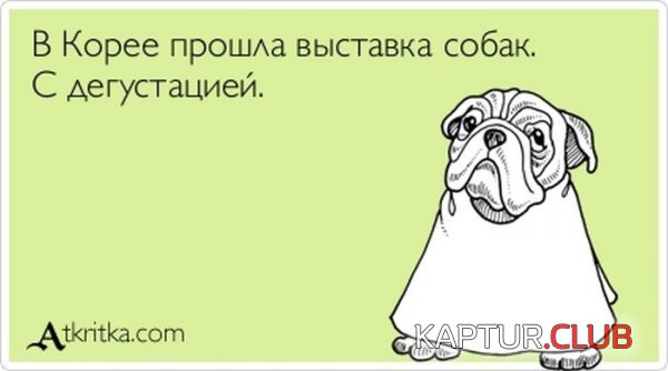 1359359597_atkritka_04.jpg | Рено Каптур Клуб Россия | Форум KAPTUR.SU