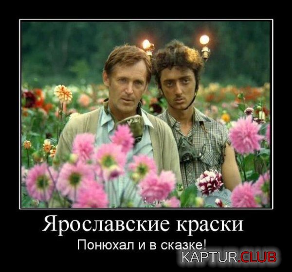 1359535363_demotivatiry_11.jpg | Рено Каптур Клуб Россия | Форум KAPTUR.SU