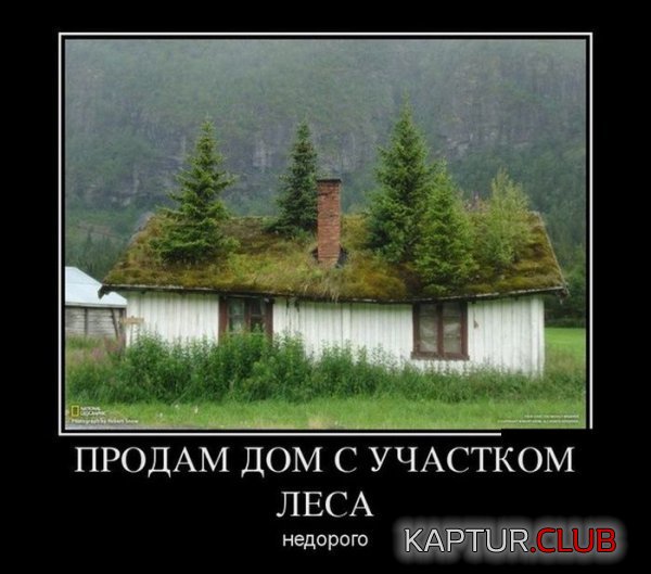 1359535367_demotivatiry_16.jpg | Рено Каптур Клуб Россия | Форум KAPTUR.SU
