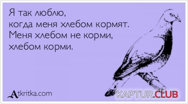 1359959816_atkritka_01.jpg | Рено Каптур Клуб Россия | Форум KAPTUR.SU