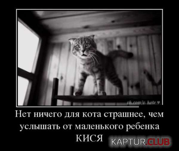 1360053195_demotivatory_27.jpg | Рено Каптур Клуб Россия | Форум KAPTUR.SU