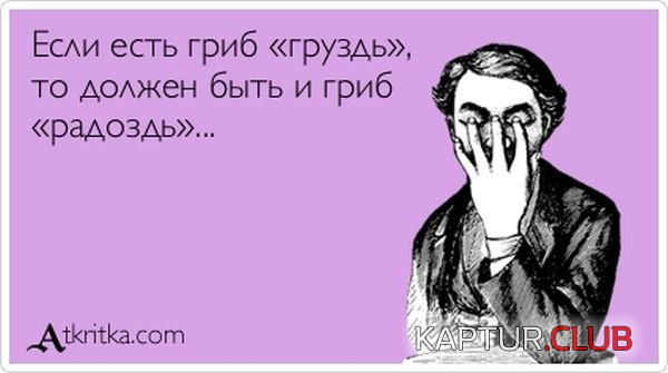 1360570041_atkritka_08.jpg | Рено Каптур Клуб Россия | Форум KAPTUR.SU