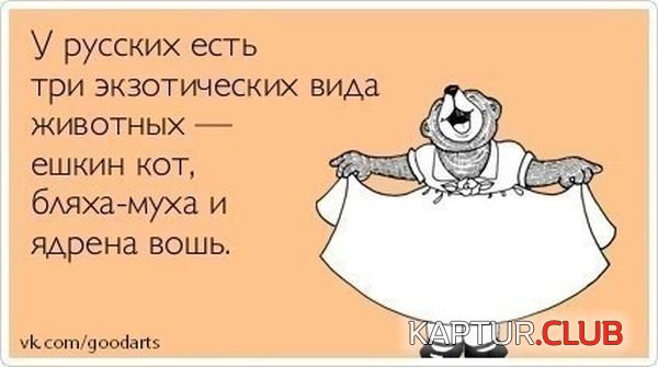 1360570136_atkritka_30.jpg | Рено Каптур Клуб Россия | Форум KAPTUR.SU