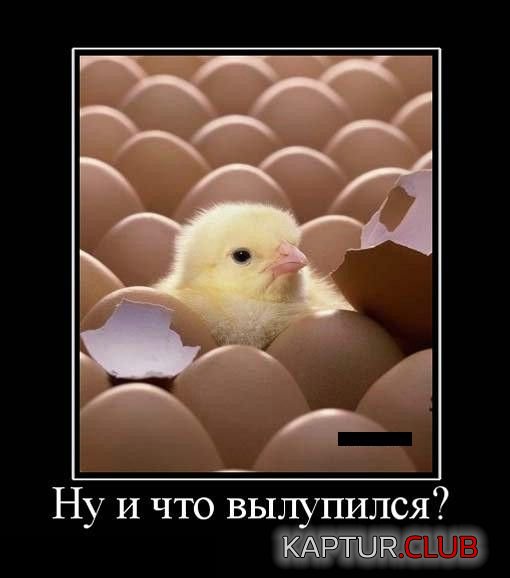 1360744405_demotivatory_01.jpg | Рено Каптур Клуб Россия | Форум KAPTUR.SU