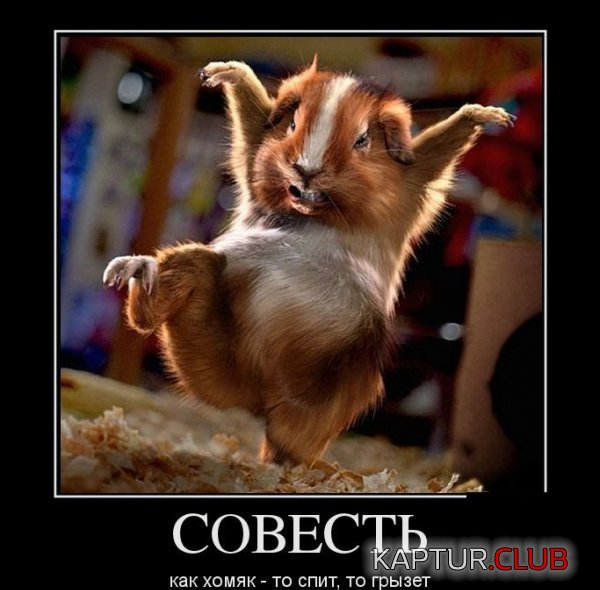 1360744453_demotivatory_12.jpg | Рено Каптур Клуб Россия | Форум KAPTUR.SU