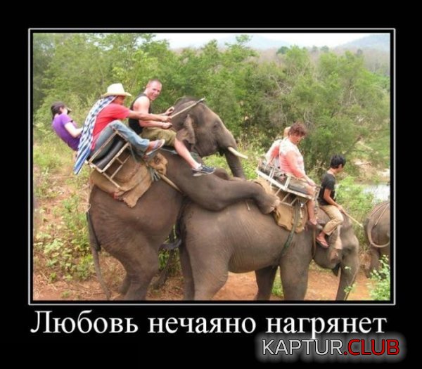 1360744563_demotivatory_28.jpg | Рено Каптур Клуб Россия | Форум KAPTUR.SU