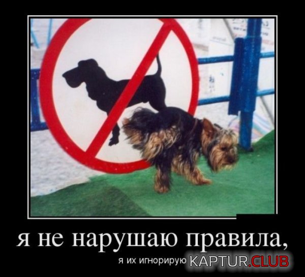 1361353115_demotivatory_02.jpg | Рено Каптур Клуб Россия | Форум KAPTUR.SU