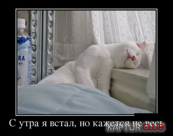 1361353157_demotivatory_20.jpg | Рено Каптур Клуб Россия | Форум KAPTUR.SU