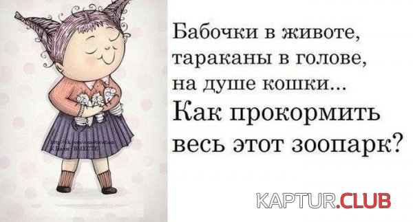 1361564752_podorka_35.jpg | Рено Каптур Клуб Россия | Форум KAPTUR.SU