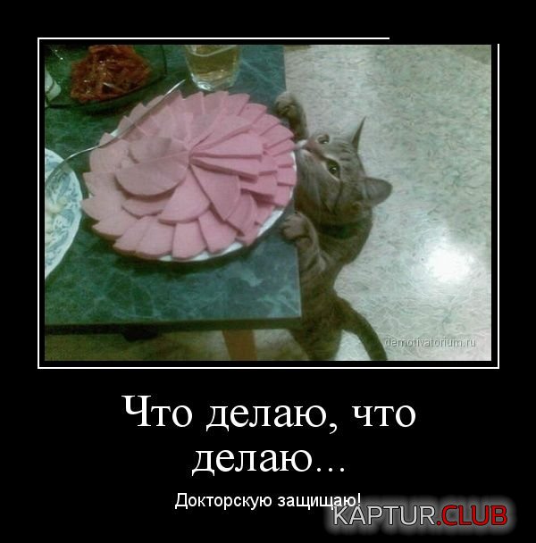 1361870532_demotivatory_02.jpg | Рено Каптур Клуб Россия | Форум KAPTUR.SU