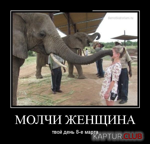 1361960204_demotivatory_26.jpg | Рено Каптур Клуб Россия | Форум KAPTUR.SU