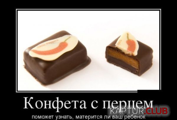 1362146528_demotivatory_03.jpg | Рено Каптур Клуб Россия | Форум KAPTUR.SU