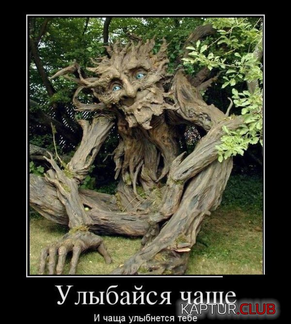 1362146529_demotivatory_28.jpg | Рено Каптур Клуб Россия | Форум KAPTUR.SU