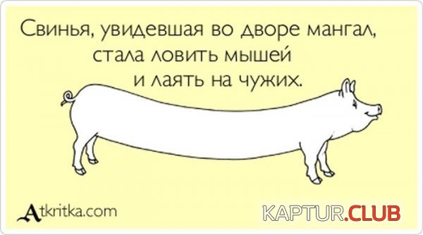 1362401612_atkritka_27.jpg | Рено Каптур Клуб Россия | Форум KAPTUR.SU