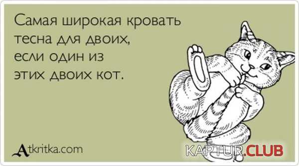 1362401649_atkritka_31.jpg | Рено Каптур Клуб Россия | Форум KAPTUR.SU