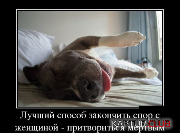 1362403790_demotivatory_09.jpg | Рено Каптур Клуб Россия | Форум KAPTUR.SU