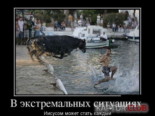 1362475271_demotivator_13.jpg | Рено Каптур Клуб Россия | Форум KAPTUR.SU