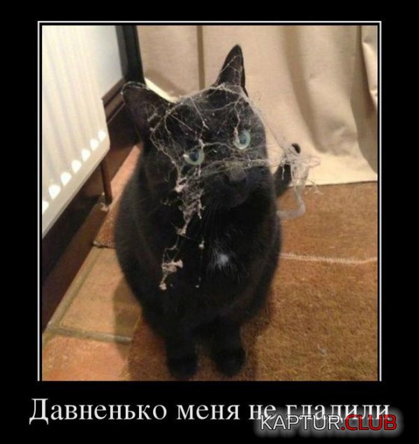 1363163958_demotivatory_18.jpg | Рено Каптур Клуб Россия | Форум KAPTUR.SU