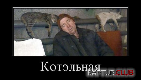 1363597611_demotivators_15.jpg | Рено Каптур Клуб Россия | Форум KAPTUR.SU