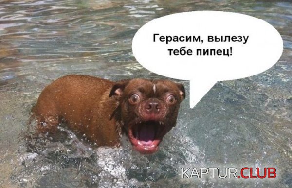 1363598723_podborka_158.jpg | Рено Каптур Клуб Россия | Форум KAPTUR.SU