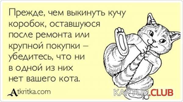 1363766856_atkritka_13.jpg | Рено Каптур Клуб Россия | Форум KAPTUR.SU