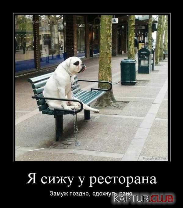 1363855888_demotivatory_08.jpg | Рено Каптур Клуб Россия | Форум KAPTUR.SU