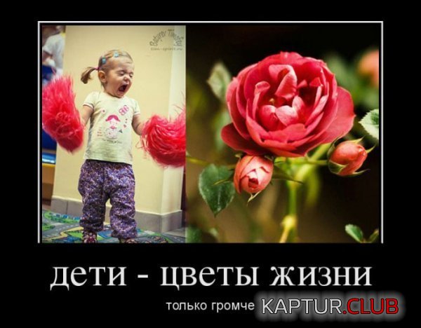1363855929_demotivatory_21.jpg | Рено Каптур Клуб Россия | Форум KAPTUR.SU