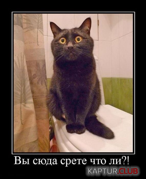 1364459826_demotivatory_08.jpg | Рено Каптур Клуб Россия | Форум KAPTUR.SU